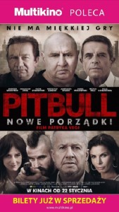 Pitbull Nowe porządki_Przedsprzedaż_PLAKAT